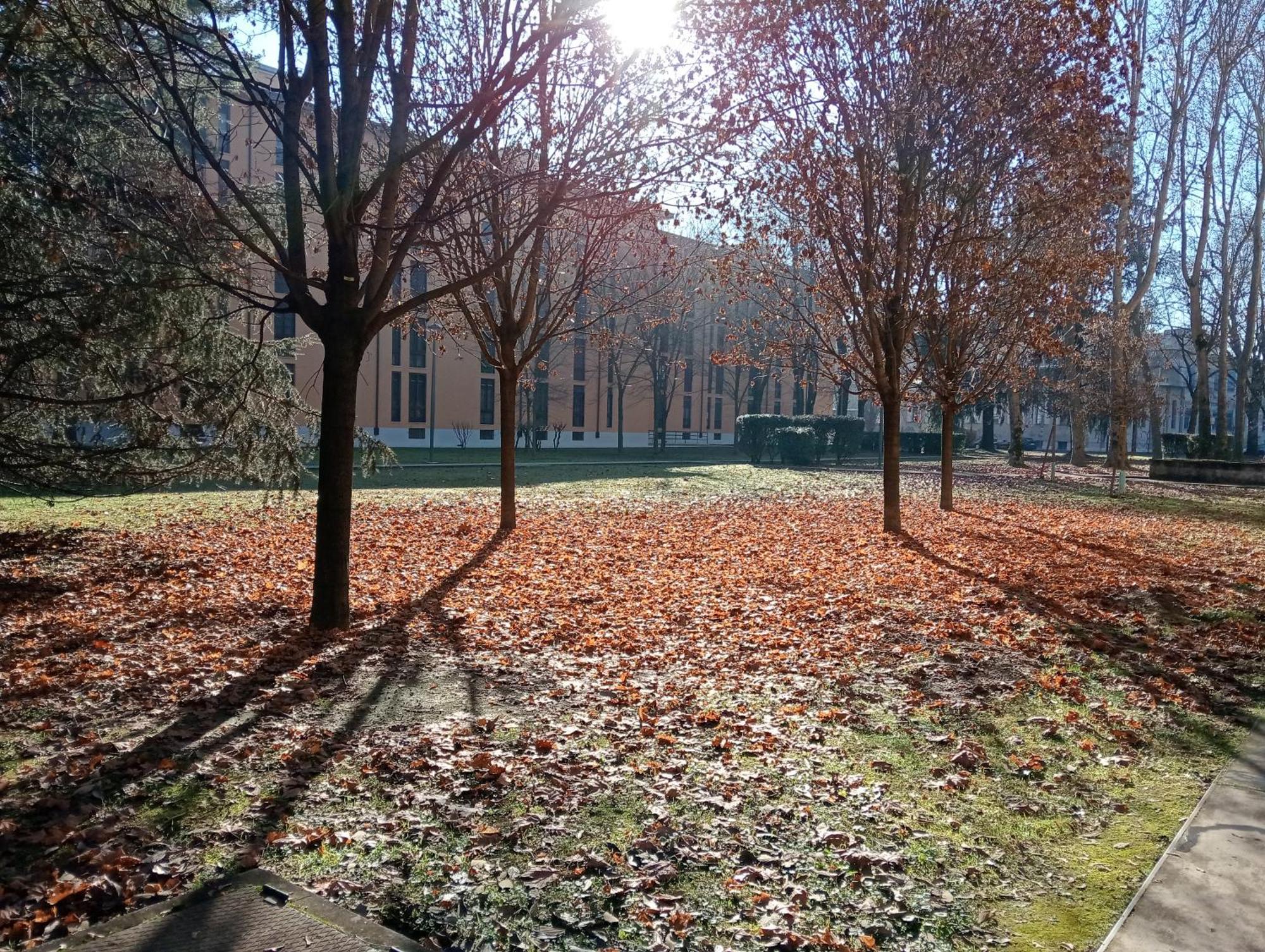 Sandonhouse Milano Сан-Донато-Миланезе Экстерьер фото